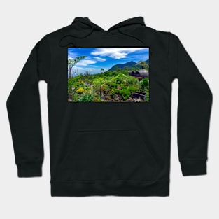 meadows in the valley Hoodie